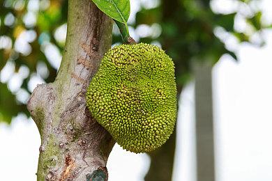 北濑佳范暗示《最终幻想7重制版》在2022年有新内容